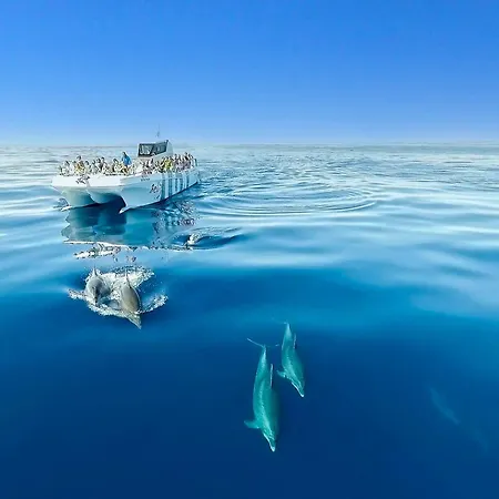 Luxury Wstunning Sea Views, Walk Gale דירה