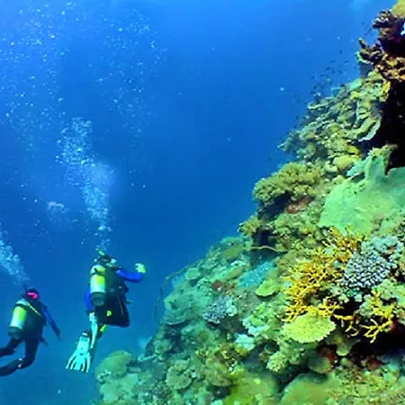 Luxury Wstunning Sea Views, Walk Gale דירה אלבופיירה